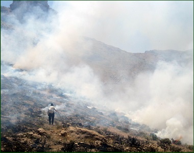 25 hectares of the pasturelands of Jiroft burned!
