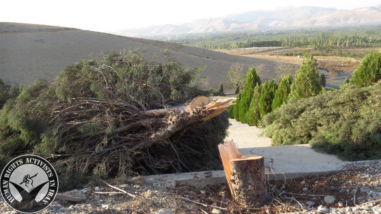 Trees Cut Down in the Bahai Cemetery of Urumiyyeh