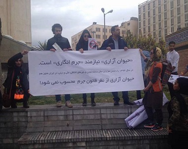 Animal Rights Activists Arrested in Tehran