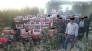 photo_2016-11-06_19-12-59