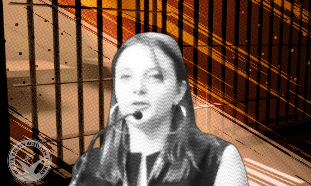 Update on Arrested European Nationals